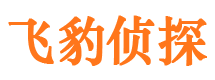 麦盖提调查公司